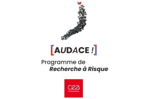 Programme Audace ! : lumière sur le projet structurant Aimants Nanostructurés